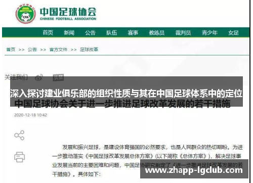 深入探讨建业俱乐部的组织性质与其在中国足球体系中的定位