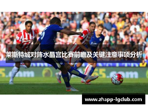 莱斯特城对阵水晶宫比赛前瞻及关键注意事项分析